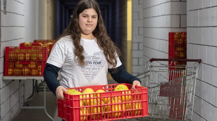 אבישג-שאר-ישוב-960x640